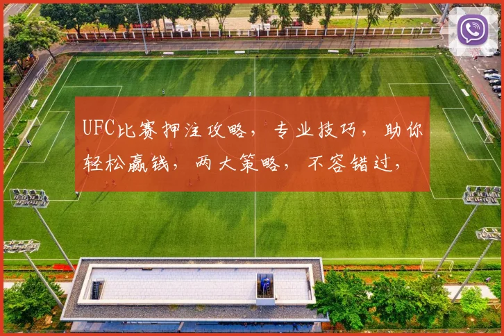 UFC比赛押注攻略，专业技巧，助你轻松赢钱，两大策略，不容错过，