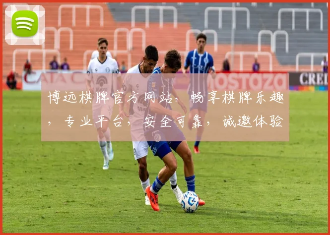 博远棋牌官方网站，畅享棋牌乐趣，专业平台，安全可靠，诚邀体验，尽在博远