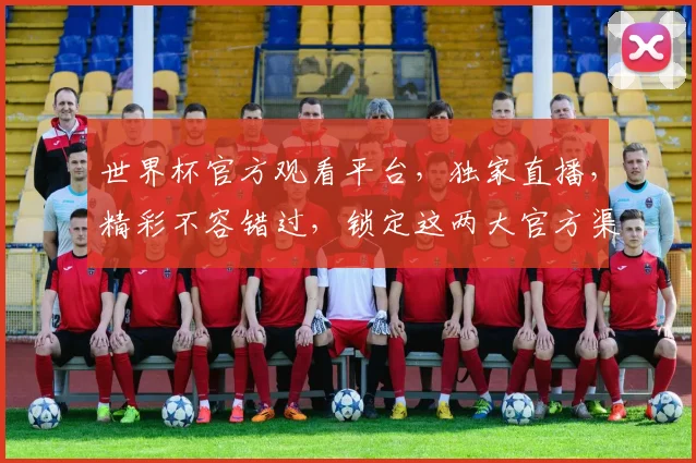世界杯官方观看平台，独家直播，精彩不容错过，锁定这两大官方渠道